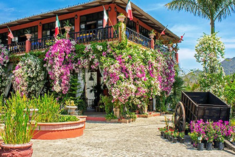 Botanical Gardens Guided Tour – Vallarta Gardens Front View with Flowers