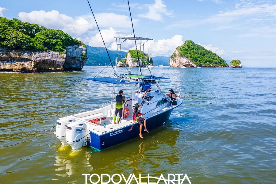 deep sea fishing in puerto vallarta with vallarta natours