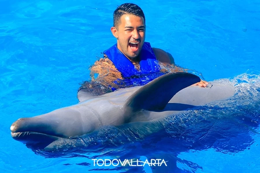 Excited man hugging a dolphin during the Dolphin Adventure tour in Puerto Vallarta.