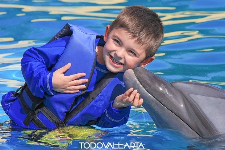 Young boy smiling as dolphin gives a gentle kiss in Puerto Vallarta