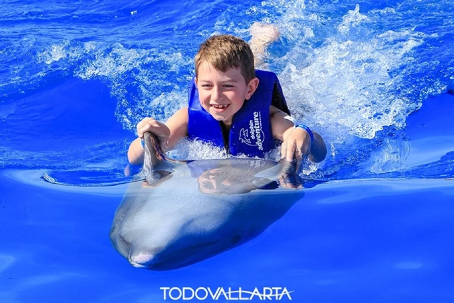 Young boy enjoying a dolphin belly ride during the Dolphin Signature Swim in Puerto Vallarta