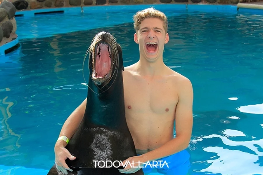 Teen boy laughing with sea lion