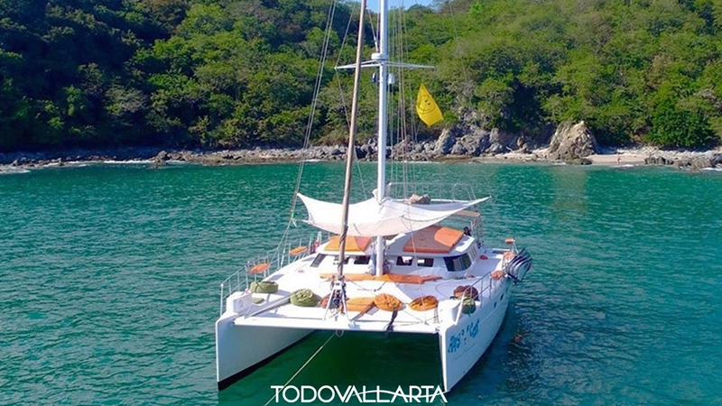 Aerial view of the 56-foot Ally Cat at anchor in a turquoise cove, showcasing its orange deck cushions for an unforgettable catamaran charter 56.