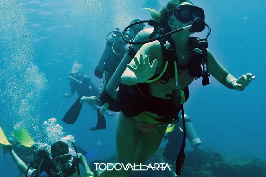 Scuba Diving Los Arcos – Group Dive Excursion | Puerto Vallarta Activities