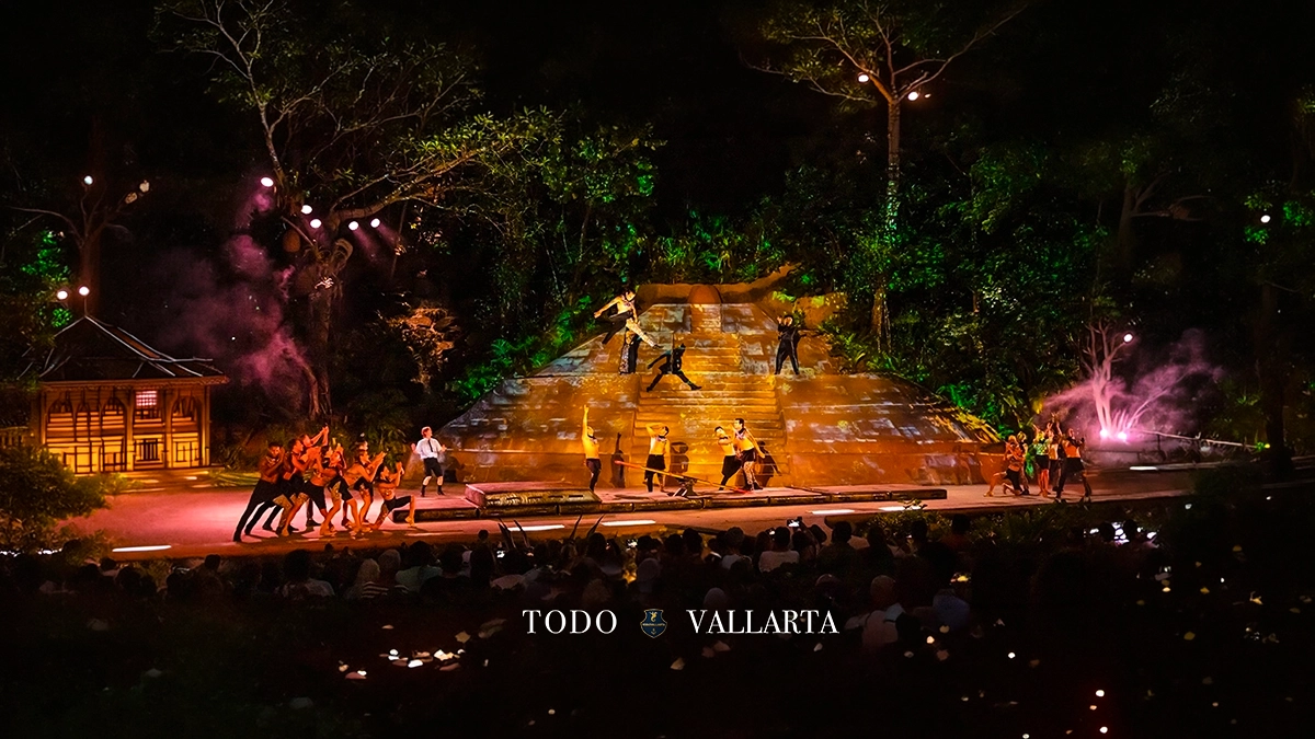 Rhythms of the Night VIP – Mesmerizing Live Performance