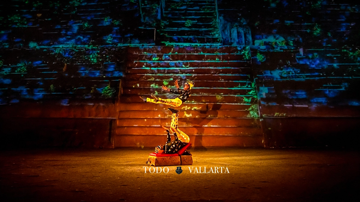 Rhythms of the Night VIP – Cultural Acrobatics and Dance
