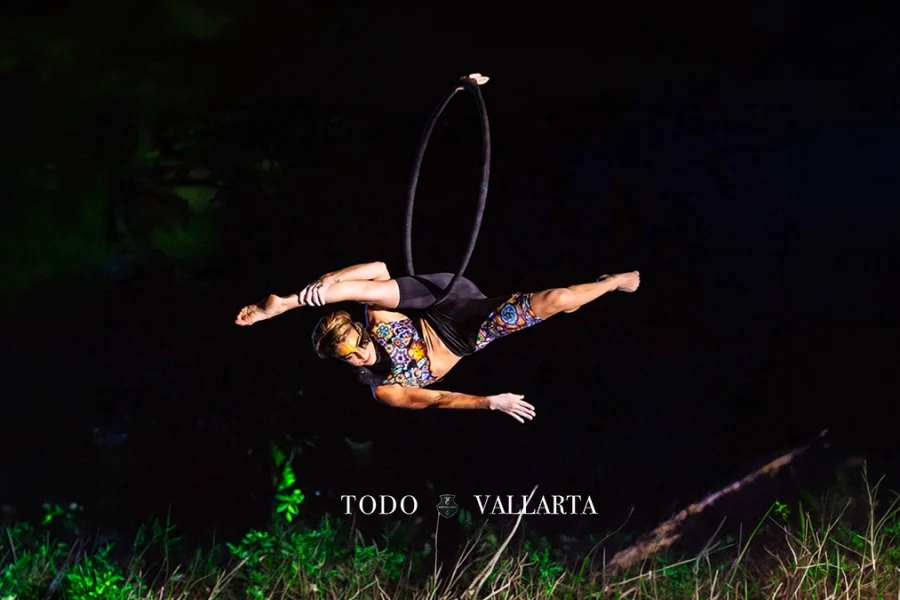 Rhythms of the Night – Mesmerizing Aerial Performance
