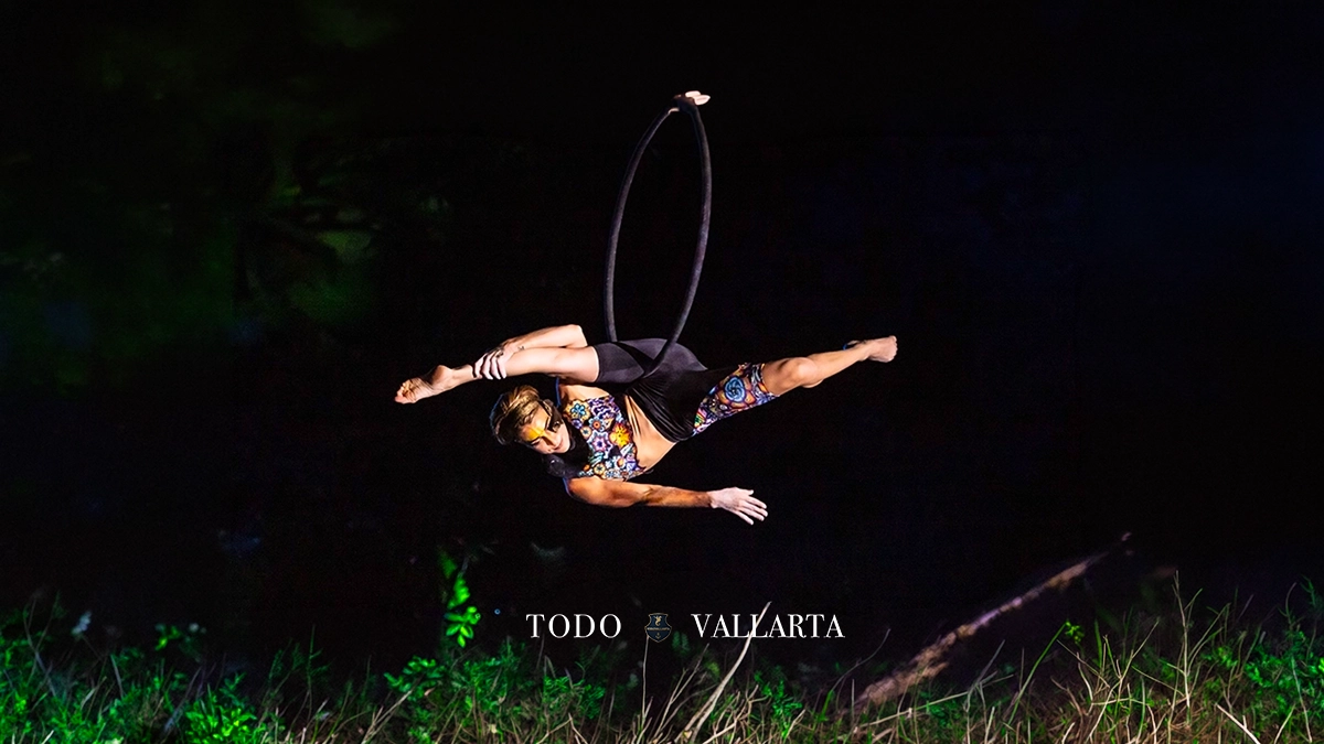 Rhythms of the Night – Mesmerizing Aerial Performance