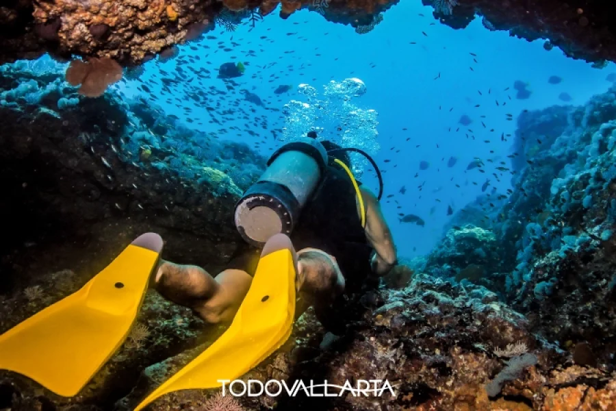 Scuba Diving Marietas Islands – Cave Exploration | Puerto Vallarta Activities