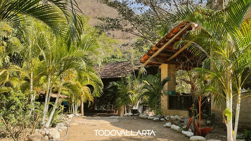 Jungle-style welcome area at a rustic village in Puerto Vallarta